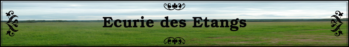 Ecurie des Etangs